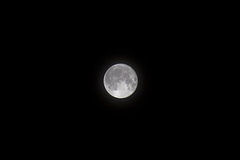 Full Moon in the Night Sky