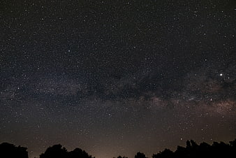Milky Way Galaxy Over Silhouetted Trees at Night