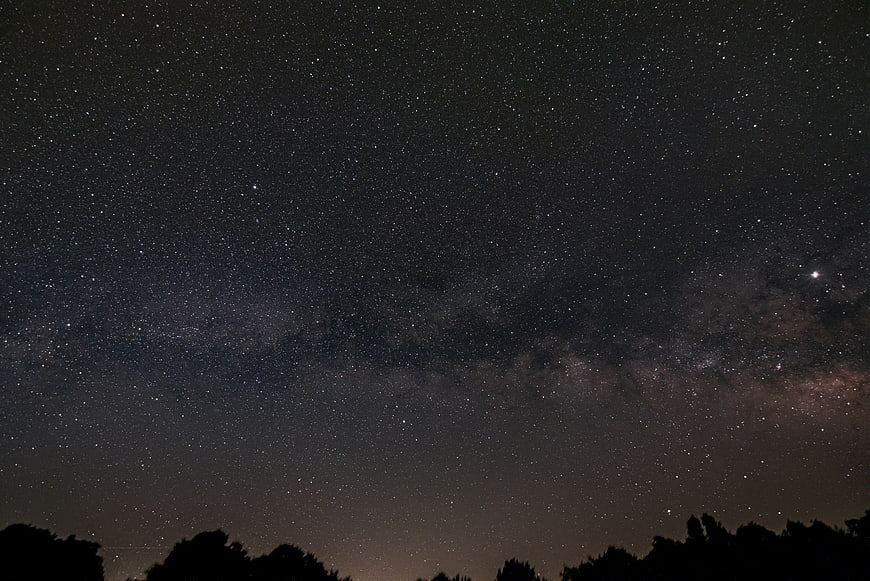 Milky Way Galaxy Over Silhouetted Trees at Night