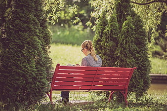 Woman Reading on Red Park Bench