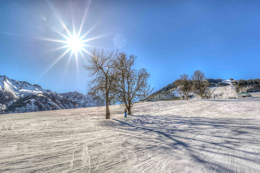 Sunny Winter Alpine Slope with Bare Trees and Snow