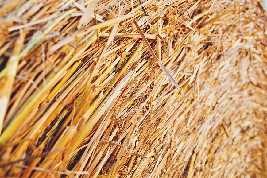 Close-up texture of golden dried hay bale