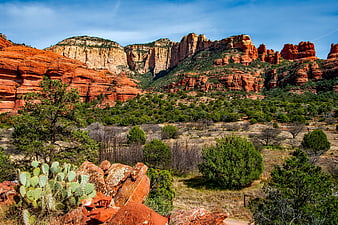 Red Rock Canyon Landscape with Cactus and Blue Sky