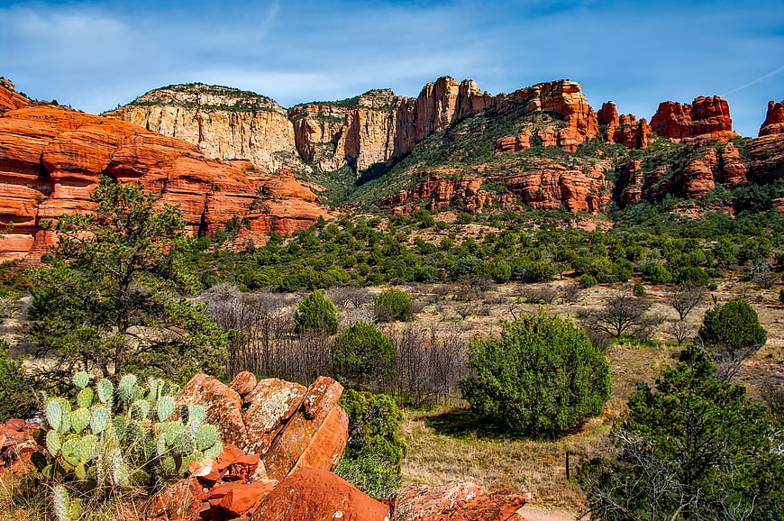 Red Rock Canyon Landscape with Cactus and Blue Sky