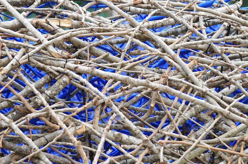 Tangled pile of dry branches on blue background texture