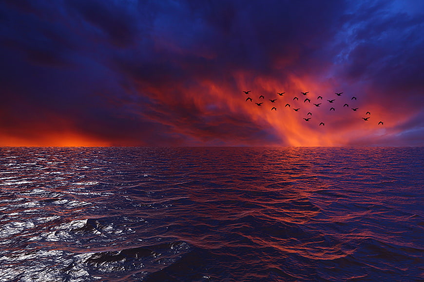 Dramatic Ocean Sunset With Flying Birds And Vibrant Red Clouds