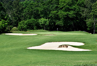 Golf Course Green With Sand Traps And Lush Trees