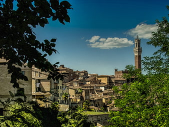 Siena Italy Cityscape with Torre del Mangia and Green Foliage