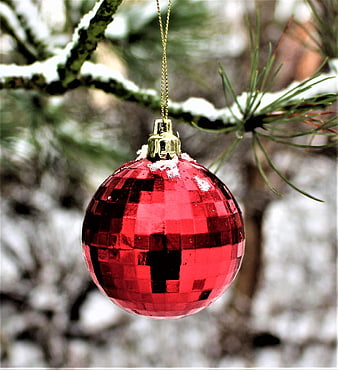 Red disco ball Christmas ornament hanging on snowy pine branch