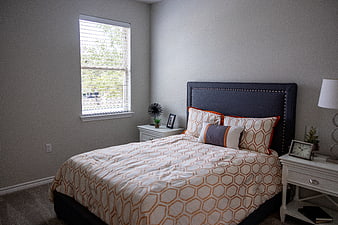 Modern Bedroom Interior with Navy Headboard and Orange Patterned Bedding