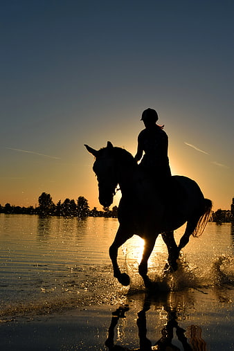 Silhouette of Horse and Rider Galloping Through Water at Sunset