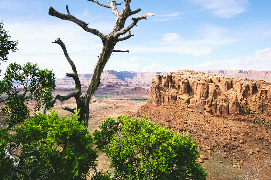 Scenic View of Red Rock Canyon with Juniper Trees