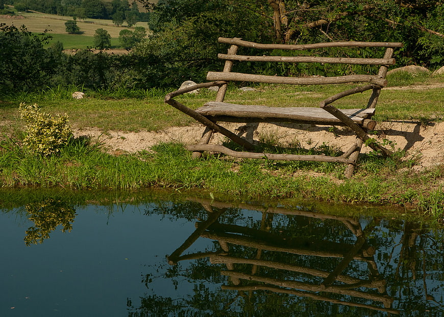 Rustic wooden bench by a pond with reflection