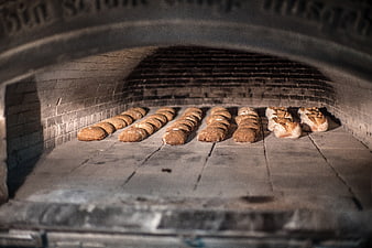 Artisan Bread Loaves Baking Inside Traditional Stone Brick Oven