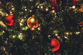 Close-up of Christmas tree with red and gold ornaments and warm lights