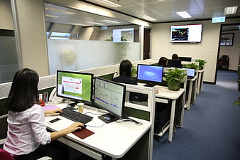 Financial analysts working in modern office with stock charts