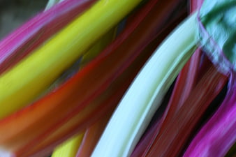 Close-up of colorful rainbow chard stems with motion blur