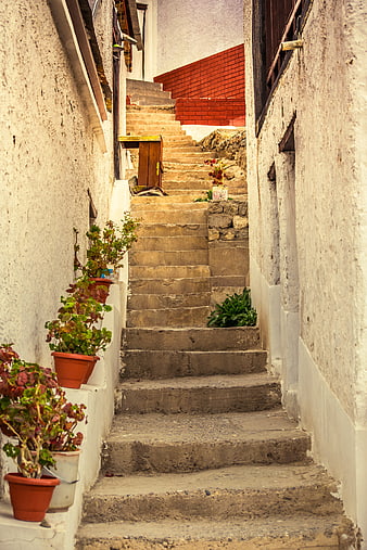 Narrow stone staircase in old town with potted plants