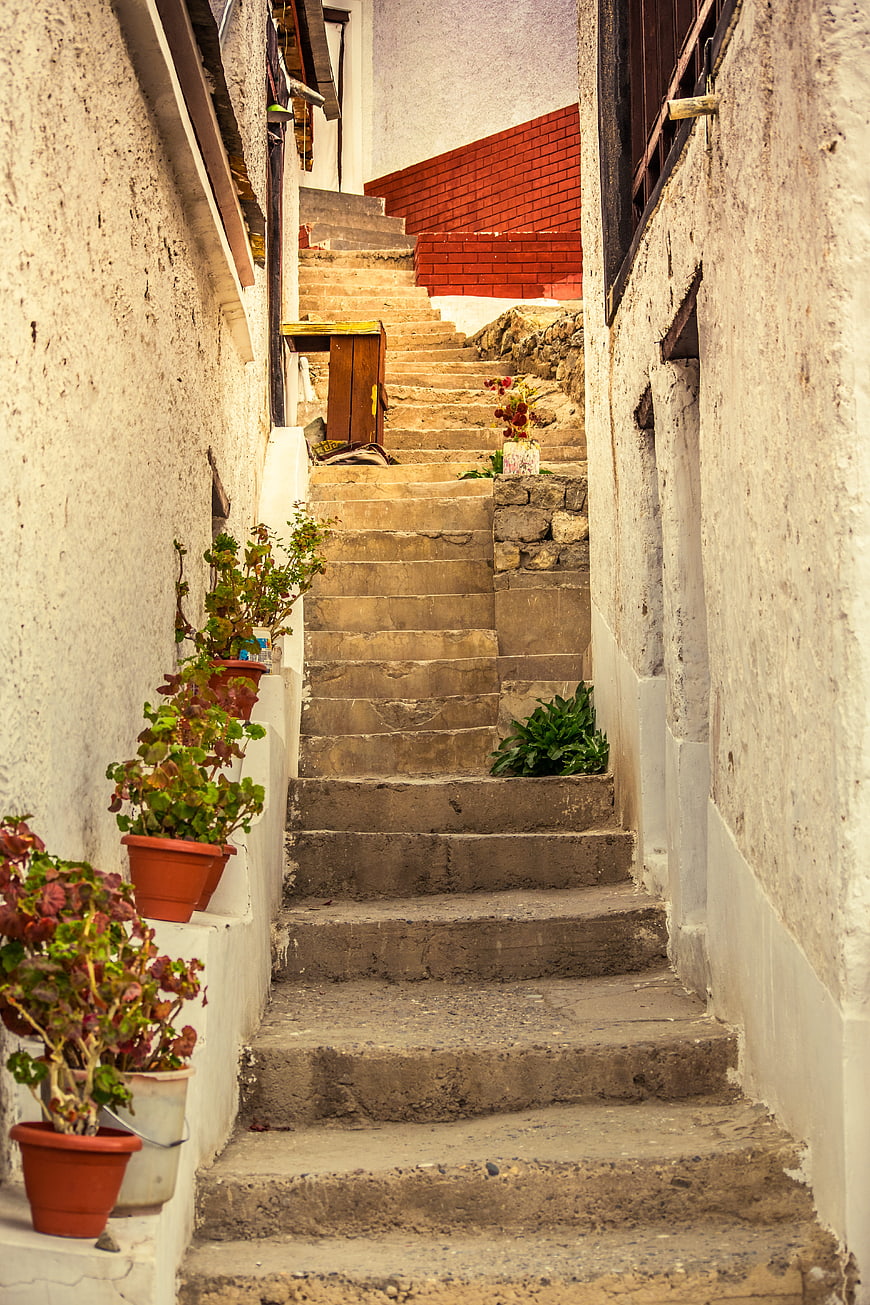 Narrow stone staircase in old town with potted plants