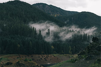 Misty Mountain Forest Landscape with Foggy Valley