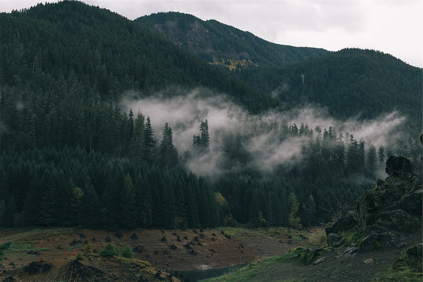 Misty Mountain Forest Landscape with Foggy Valley