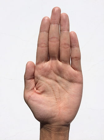 Close-up of open human palm on white background