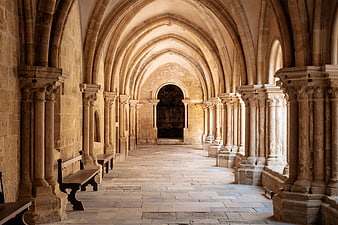 Stone Gothic Cloister Arches and Columns