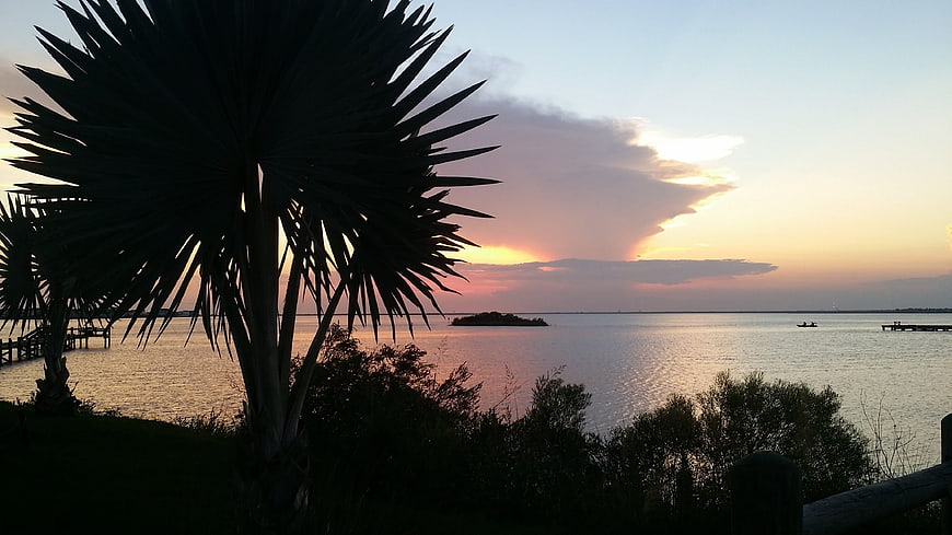 Palm Tree Silhouette Against Golden Sunset Over Calm Water