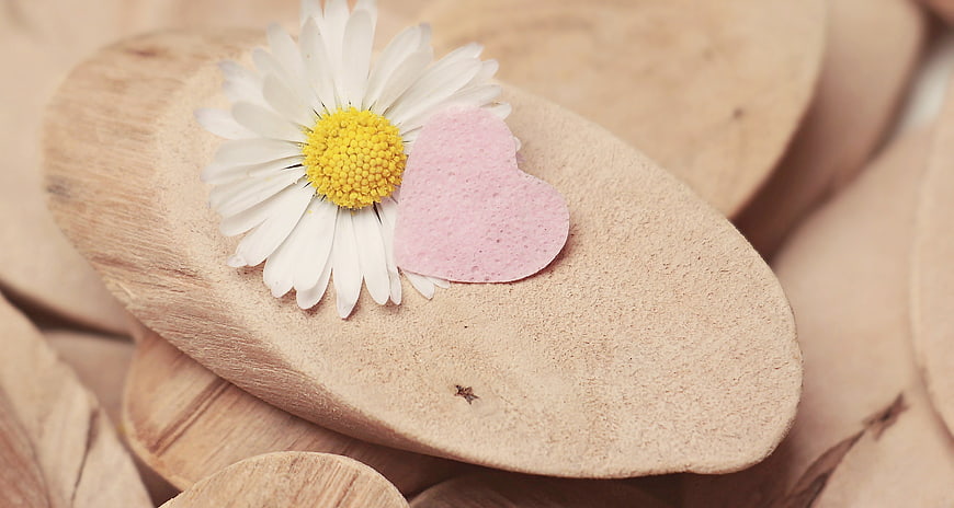 White Daisy and Pink Heart on Wooden Slices