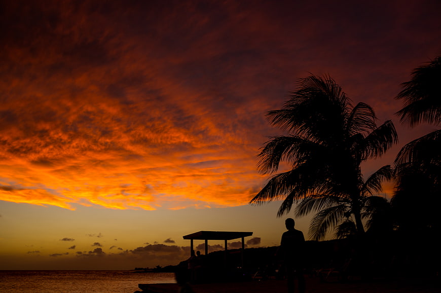Dramatic Orange Sunset Sky Over Silhouetted Palm Trees and Beach