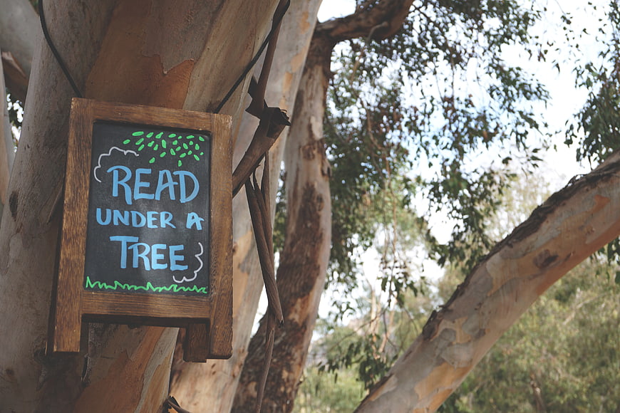 Chalkboard Sign Reading Under A Tree Hanging On Eucalyptus