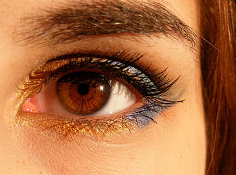 Close-up of eye with gold and blue glitter makeup
