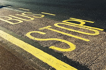 Yellow Bus Stop Road Markings on Asphalt