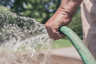 Close-up of elderly hand holding green garden hose spraying water