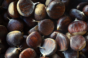 Close-up of raw chestnuts with natural texture