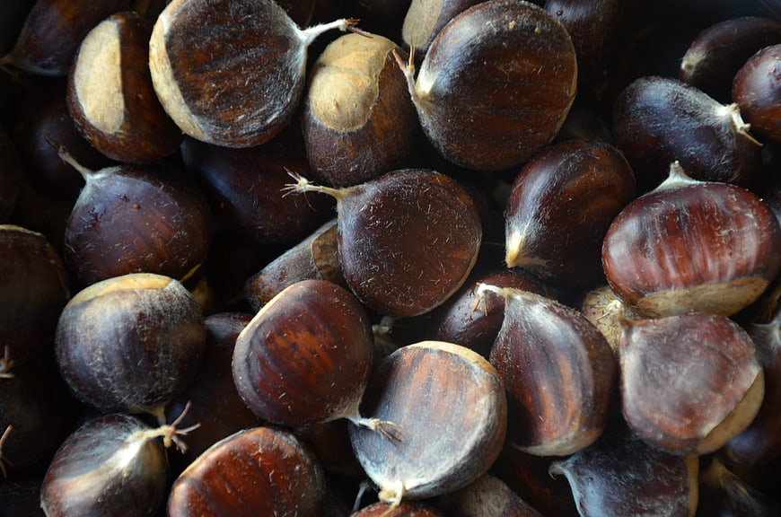 Close-up of raw chestnuts with natural texture