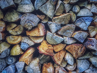 Stacked Firewood Logs Texture Background