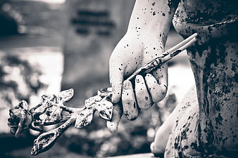 Close-up of weathered stone angel statue holding a flower