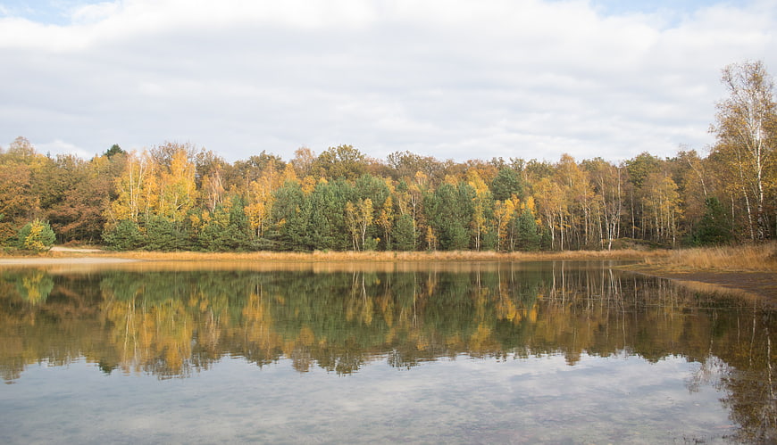 Serene autumn lake with colorful forest reflection