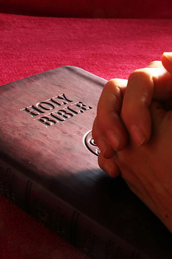 Praying Hands on Holy Bible Close Up