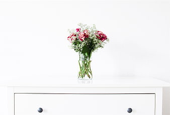 Pink Roses and Baby's Breath in Clear Glass Vase on White Dresser
