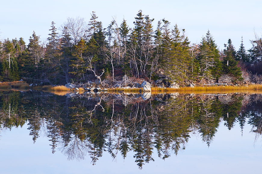 Serene Lake Reflection of Pine Forest and Rocky Shore