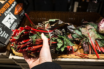 Hand holding fresh red Swiss chard in wicker basket