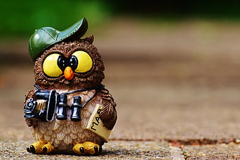 Cute tourist owl figurine with camera and binoculars