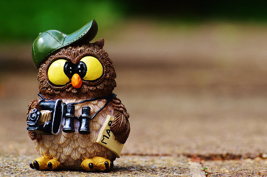 Cute tourist owl figurine with camera and binoculars