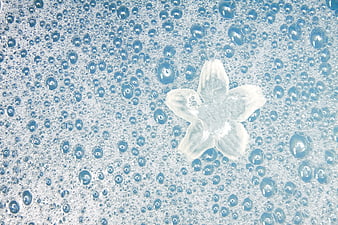 White flower floating in blue soapy bubbles background
