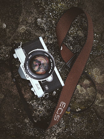 Vintage Canon AE-1 Camera on Textured Rock Surface
