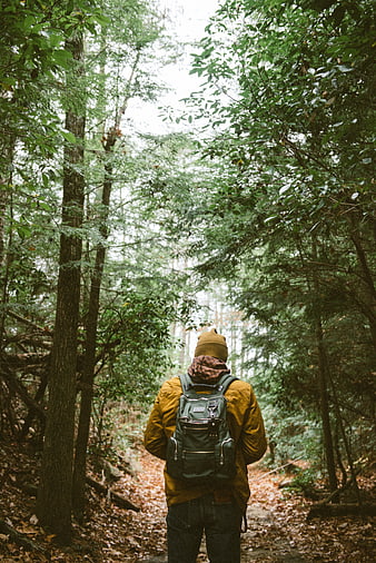 Hiker with backpack walking on forest path in autumn