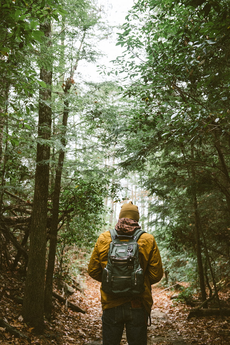 Hiker with backpack walking on forest path in autumn