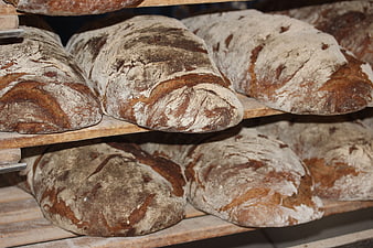 Freshly baked artisan sourdough loaves on wooden shelves